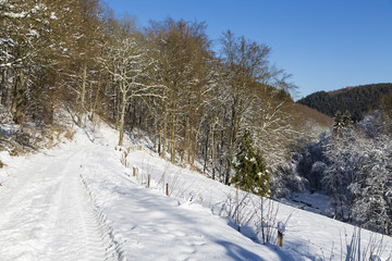 Eifel Winter Landscape And Blue Sky, Germany