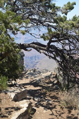 Fototapeta na wymiar Grand Canyon Of The Colorado River. South Kaibab Trailhead. Geological formations. June 22, 2017. Grand Canyon, Arizona, USA. EEUU.