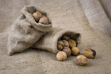 Walnuts in jute hessian sack bag. Some walnuts are scattered on jute fabric.