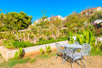 Vineyards and rural houses in Bol town, Brac island, Croatia