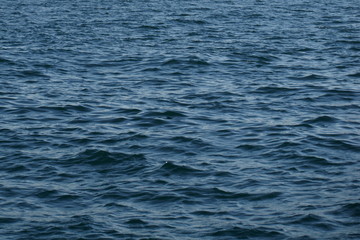 Ripples on sea surface