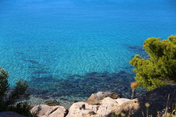 View of the clear azure water and stones with green coniferous trees. (Sithonia, Halkidiki, Greece).