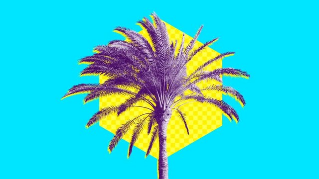 
Palm tree on abstract background Minimal beach vibes
