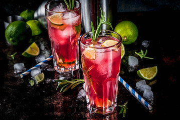 Refreshment alcoholic red cranberry and lime cocktail with rosemary and ice, two glass, dark background copy space