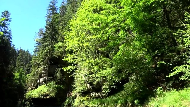 Kammnitzklamm, B&ouml;hmen, Tschechien
