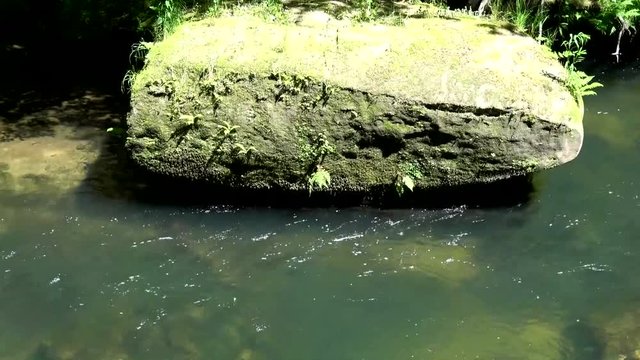 Kammnitzklamm, B&ouml;hmen, Tschechien
