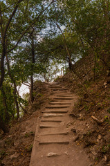 stone stairs uphill with trees