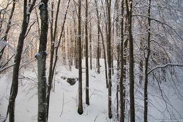 Malghe d'inverno a Piancavallo 