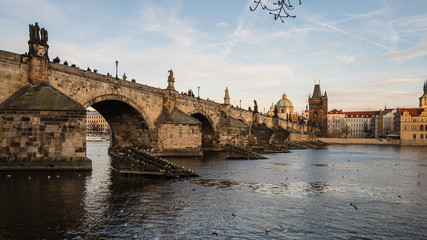 Sunny winter afternoon in Prague. Charles bridge and part of the Old Town shot from the river's left bank. Statues and people seen on the bridge, seagulls in and around the water. Softly illuminated.
