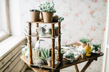 decor with succulents and glass on the table