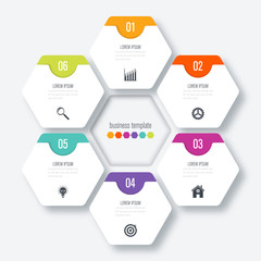 Vector illustration infographics six options