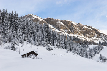 Inverno soleggiato