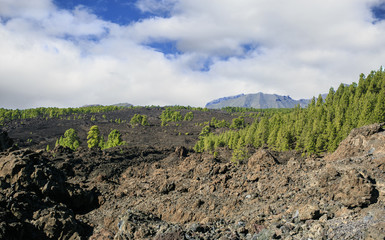 Fototapeta na wymiar Teide mountain in Tenerife. Canary Islands