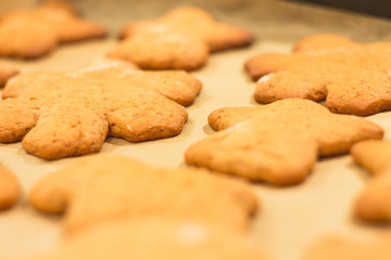 Ginger biscuits lie on a baking sheet. Cookies on baking paper. Selective focus.