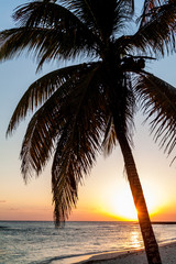 Naklejka na ściany i meble Evening on a beach in Playa Giron village, Cuba.