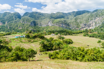 View of Guasasa valley near Vinales, Cuba