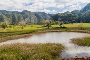 Fototapeta na wymiar View of Guasasa valley near Vinales, Cuba