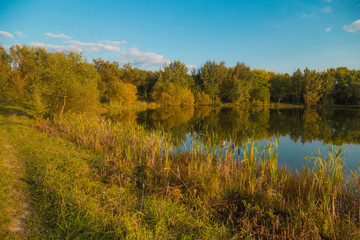 Beautiful scenery on the shore of the lake. Beautiful forest pond in Europe.Autumn landscape.