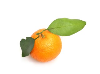 Mandarins with fresh green sprig isolated on white background