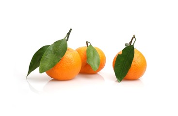 Mandarins with fresh green sprig isolated on white background