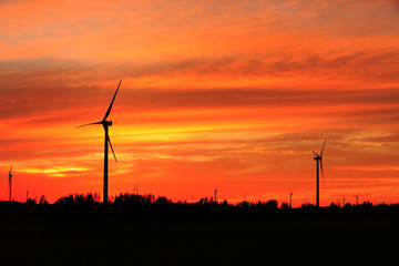 Obraz premium Wind turbines in the evening