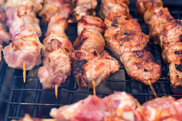 Preparing shashlik on mangal or grill