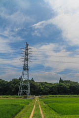 夏の四街道の田園風景