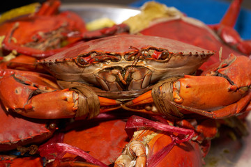 closeup Steamed crab was tied with a rope in a pot of steaming.