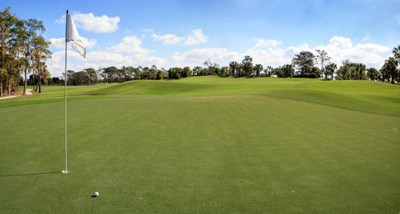 Lush green grass on a golf course