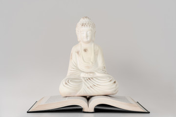 Buddha ornament on white background with book & copy space for text.