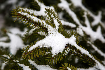 first snow