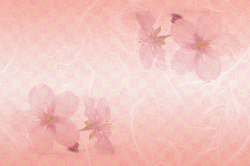 Japanese cherry blossom on pink checkered pattern paper background