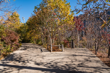 秋の公園　ニューヨーク