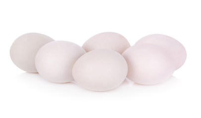 Duck egg close up isolated on white background.