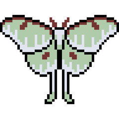 Fototapeta premium vector pixel art moth