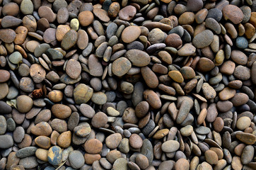 stone decorate floor 