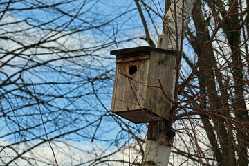 Vogelhaus auf Baum vor blauen Himmel
