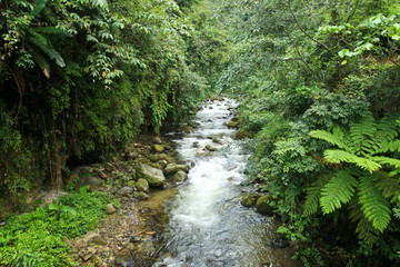 Mountian river in remote China-14