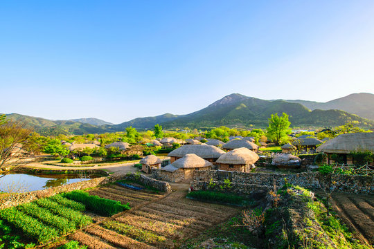 Beautiful green in spring morning of Naganeupseong Folk Village in Suncheon, A Traditional Hanok Village in South Korea.