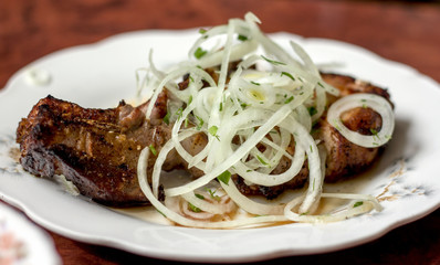 piece of fried shish kebab on bone with pickled onion on a plate