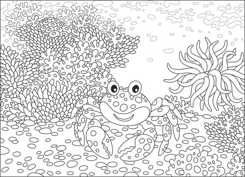 A funny crab, an actinia and corals on a tropical reef, a black and white vector illustration in cartoon style for a coloring book