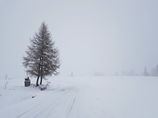 Zasypana śniegiem droga © michalsen