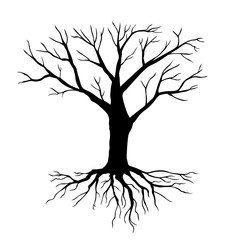 Silhouette tree without leaves