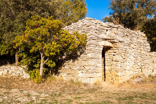 capitelle et arbousier