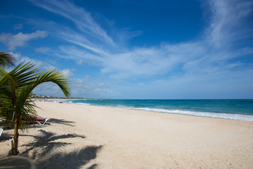 Caribbean beach with white sand, the ocean, palm trees and some clouds - 186489876