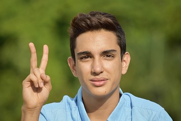 Diverse Male Counting