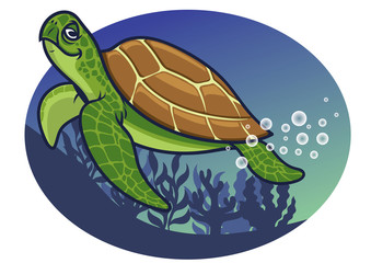 cartoon of turtle character