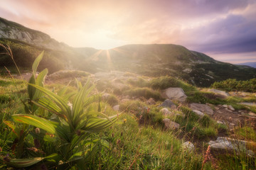 Sunset over the mountain