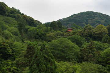 Pagoda of the Kiyomizu-dera temple hiding behind the green leafs on the hills around Kyoto, Japan