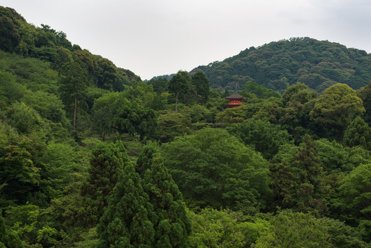 Pagoda of the Kiyomizu-dera temple hiding behind the green leafs on the hills around Kyoto, Japan